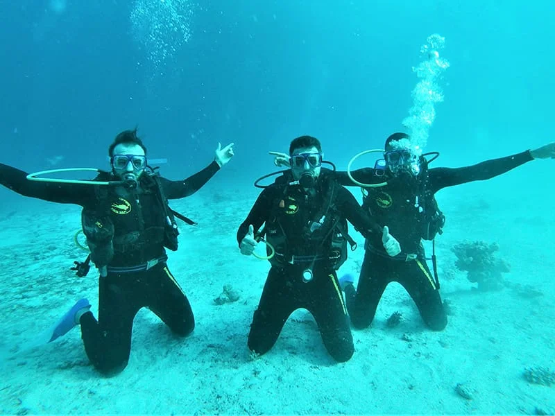 Red Sea Discovery Dive