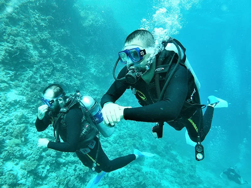 Red Sea Discovery Dive